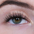 Afbeelding laden in Galerijviewer, My Fast Lashes | Doll Lashes - Single Box
